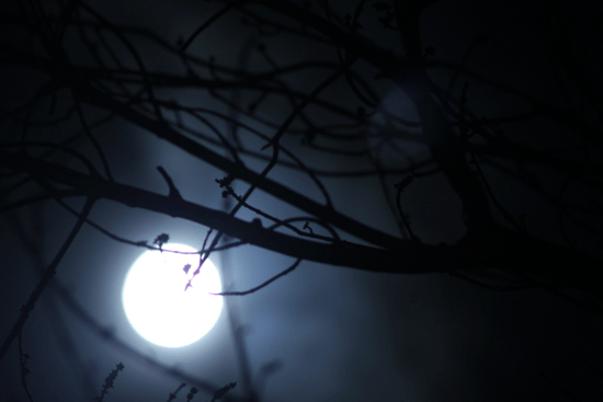 Ảnh trăng mùa đông về khuya thật đẹp
