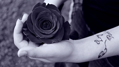 Bộ ảnh hoa hồng đen