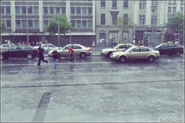 ảnh mưa ở đường phố